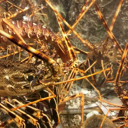 Mar Ii With Parking * Sesimbra