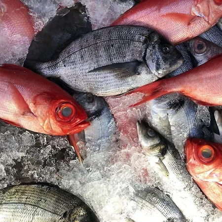 Mar Ii With Parking *