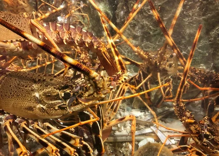 Mar Ii With Parking * Sesimbra