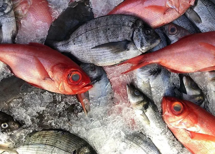 Mar Ii With Parking *